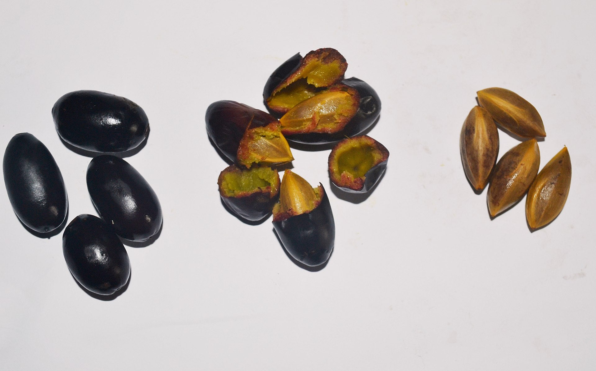 Canarium schwienfuthii (African Olive) Seeds