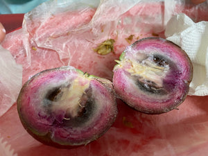 Chrysophyllum cainito (Caimito, Star Apple) "Purple" Seeds