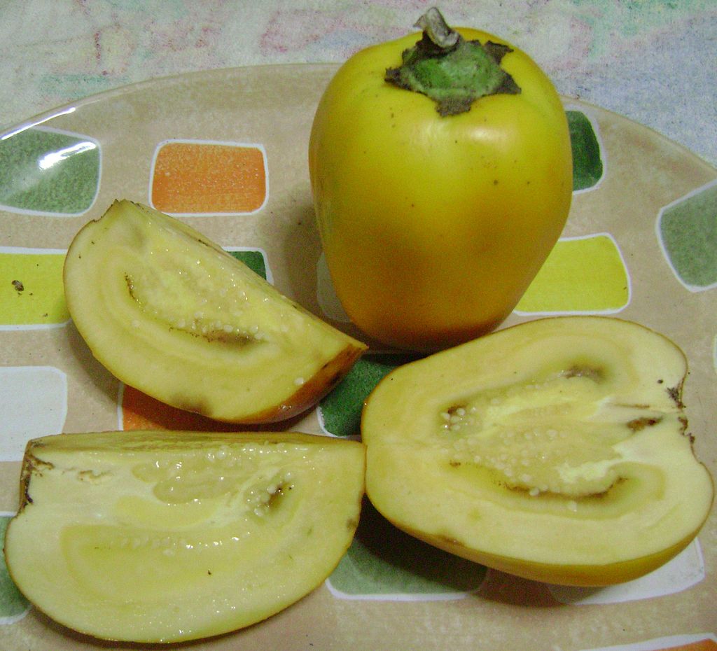 Solanum sessiliflorum (Lulón, Cucona) Seeds